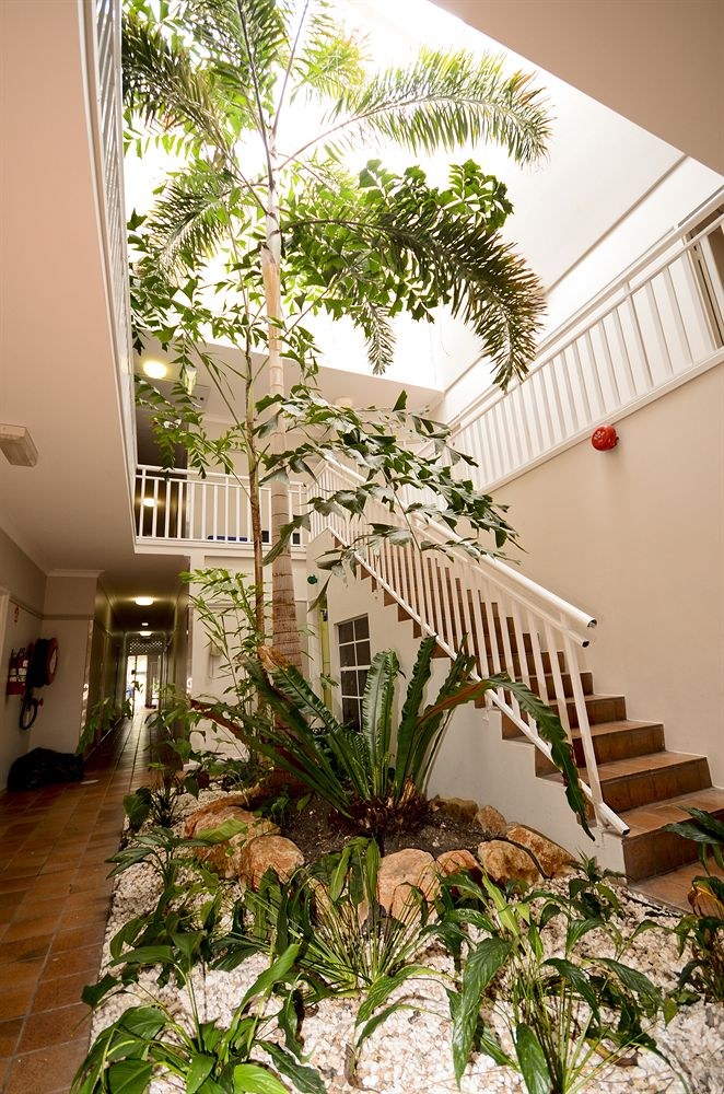 REEF PALMS photo 3