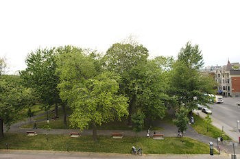 AUBERGE DU CARR¿ ST-LOUIS photo 1
