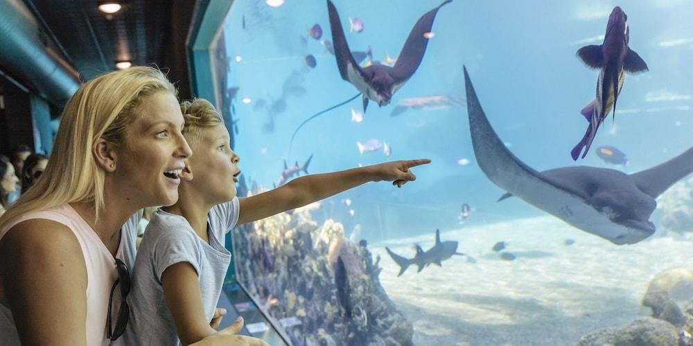 SEA WORLD RESORT photo 3