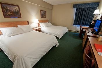 CANAD INNS DESTINATION CENTRE WINDSOR PARK photo 4