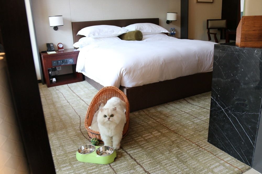 MILLENNIUM RESORT HANGZHOU