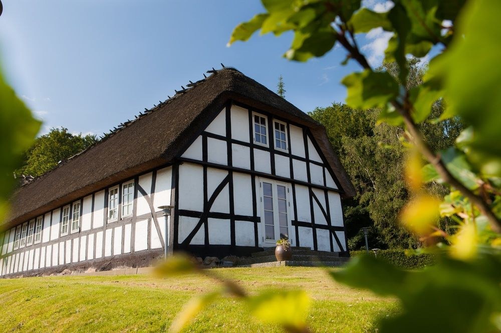 HELNAN MARSELIS