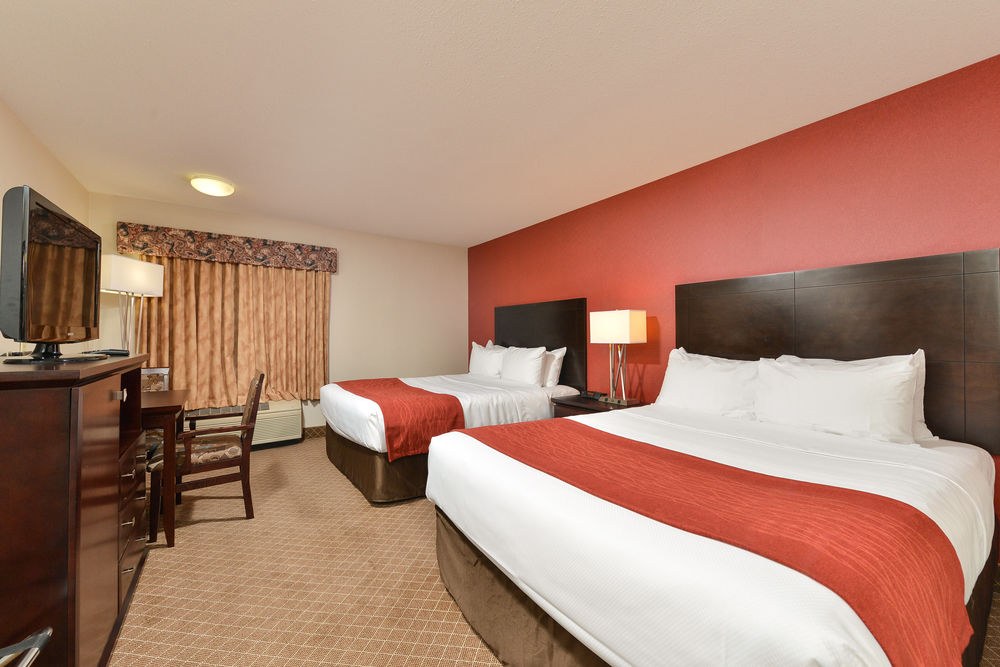 COMFORT INN & SUITES AIRPORT SOUTH photo 1