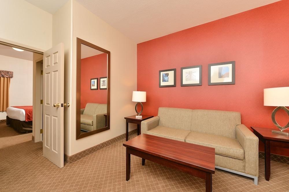 COMFORT INN & SUITES AIRPORT SOUTH photo 3