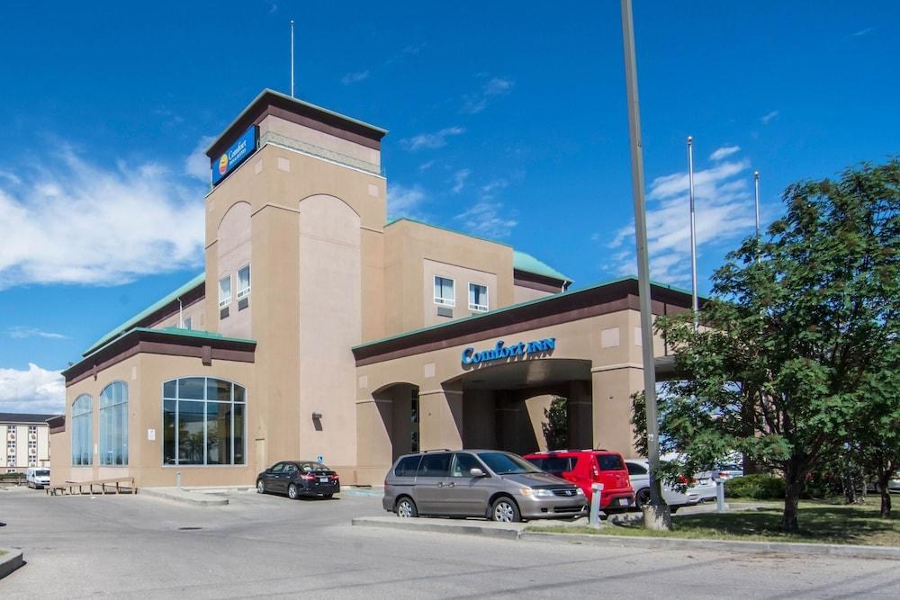 COMFORT INN & SUITES AIRPORT SOUTH photo 4