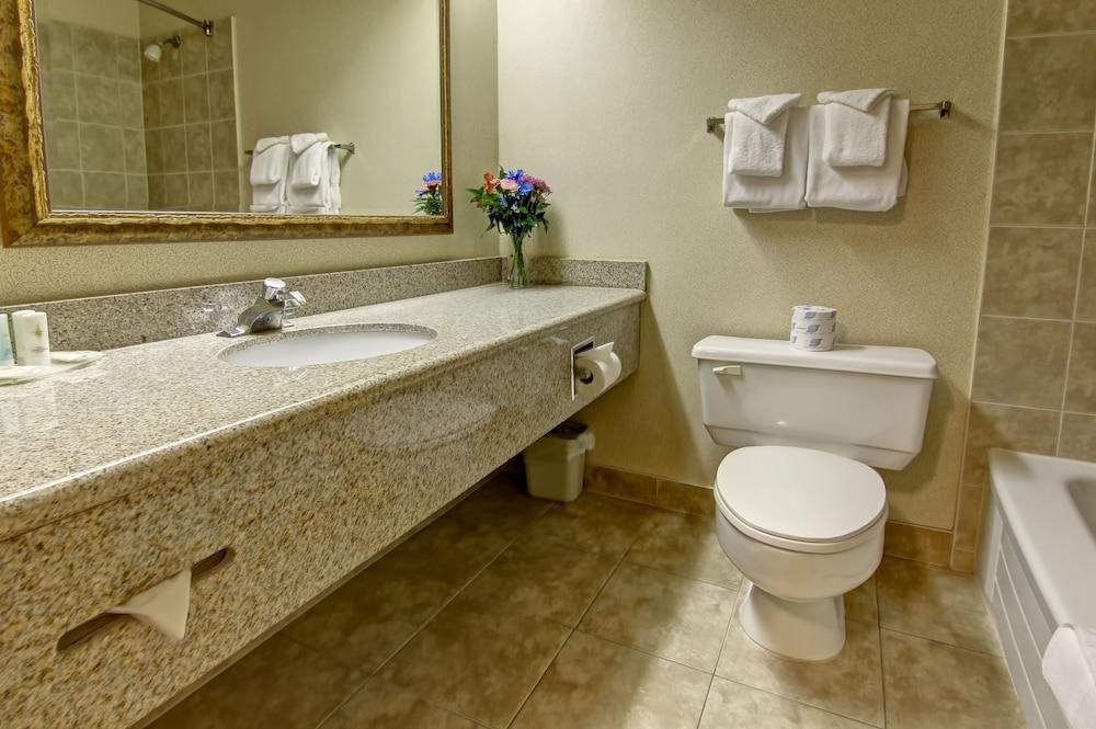 COMFORT INN & SUITES photo 2
