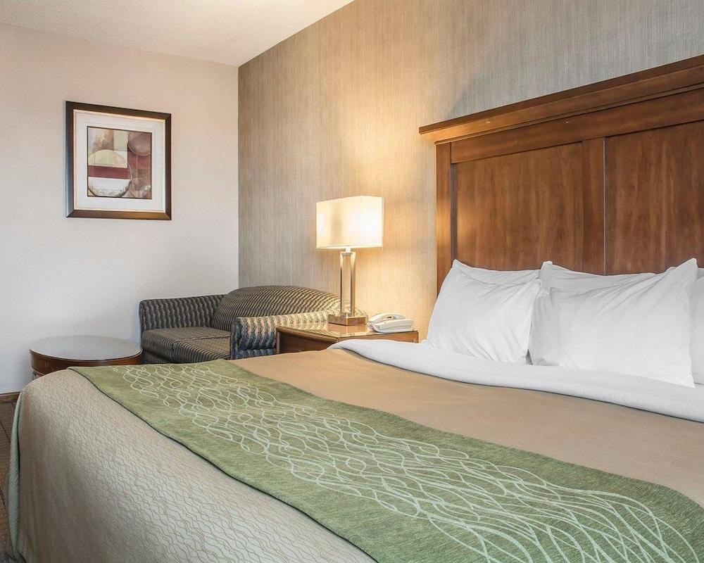 COMFORT INN PORT HOPE photo 4