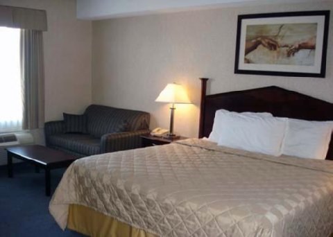 Comfort Inn Mississauga photo 3