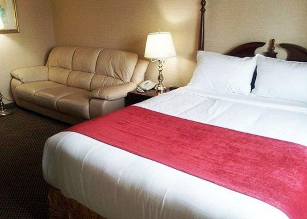 ECONO LODGE CITY CENTRE photo 4
