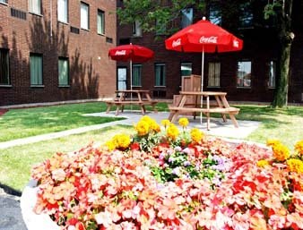 QUALITY INN & SUITES DOWNTOWN photo 3