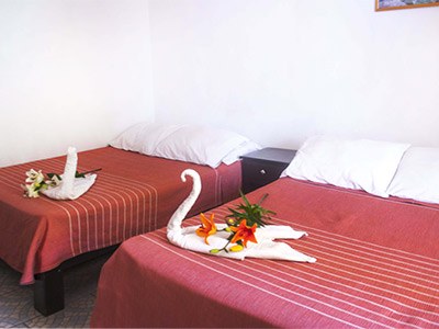 HOTEL AND HOSTEL ALLENDE photo 1