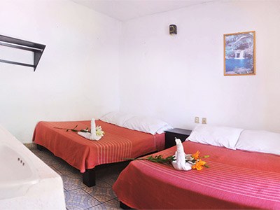HOTEL AND HOSTEL ALLENDE photo 4