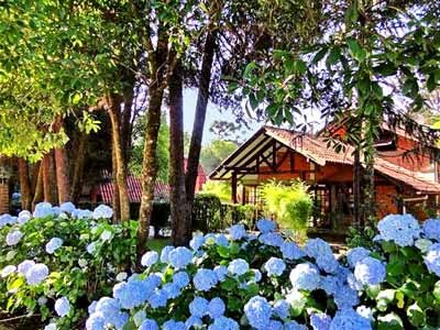 HOTEL CABANA JARDIM DE FLORES photo 2