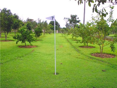 PARK GOLF HOSTEL IPELANDIA photo 1