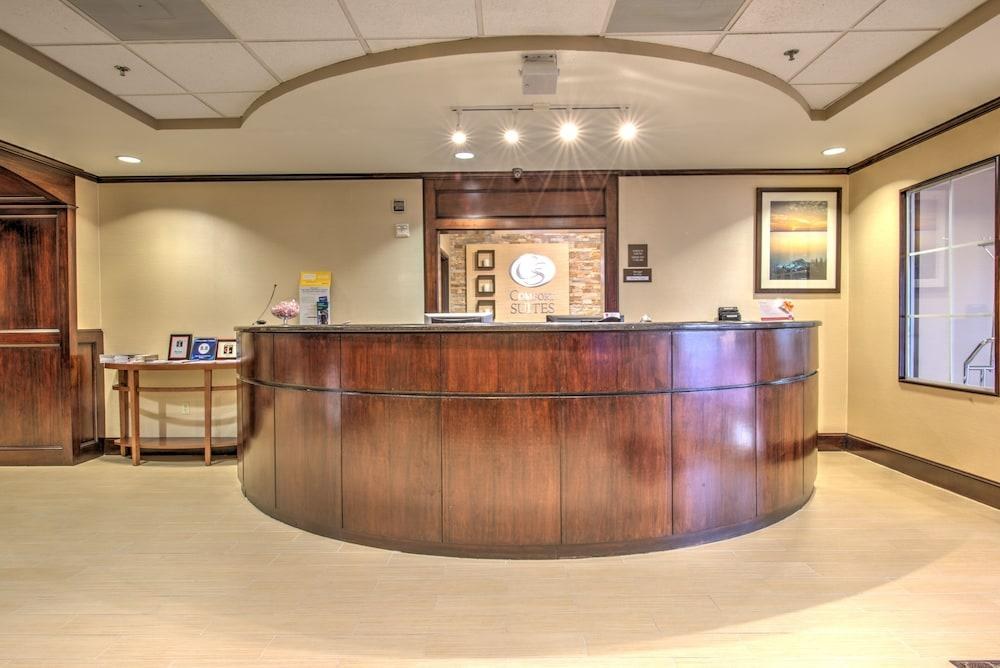 COMFORT SUITES TOMBALL photo 4