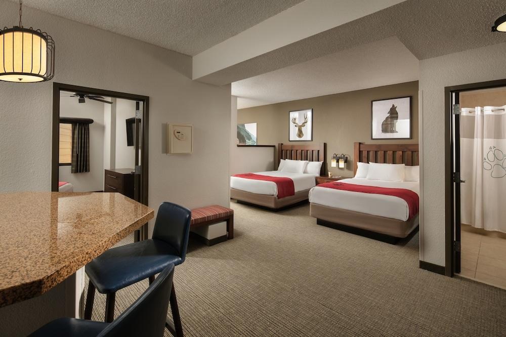 GREAT WOLF LODGE GRAPEVINE photo 1