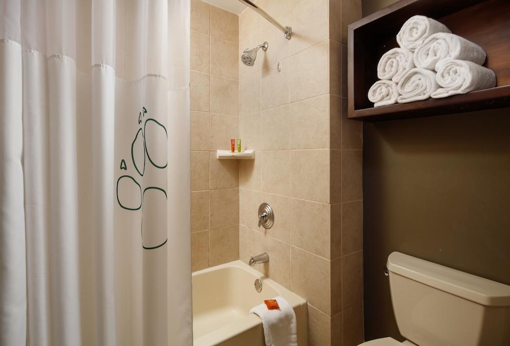 GREAT WOLF LODGE GRAPEVINE photo 3