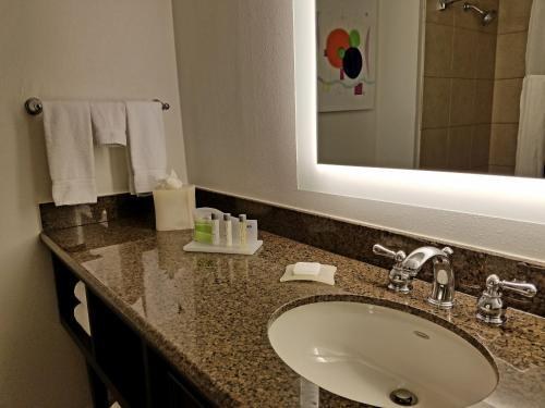 WYNDHAM HOTEL - LAS COLINAS