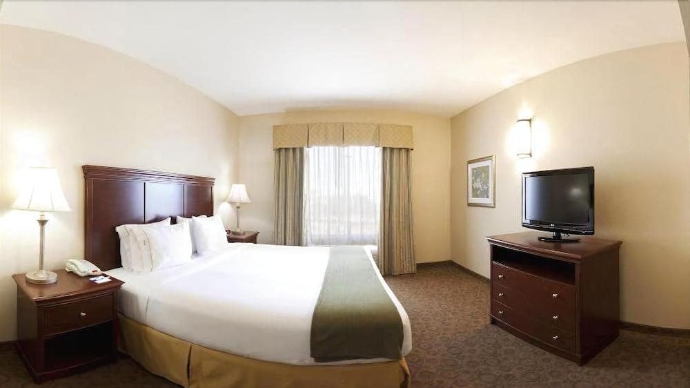 HOLIDAY INN EXPRESS HOTEL & SUITES CEDAR HILL photo 4