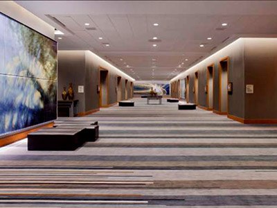 GRAND HYATT DFW photo 3