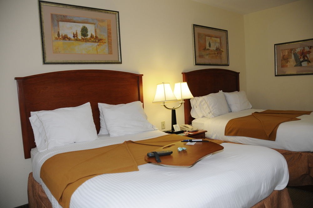 HOLIDAY INN EXPRESS HOTEL & SUITES DALLAS - GRAND PRAIRIE I-20 photo 1