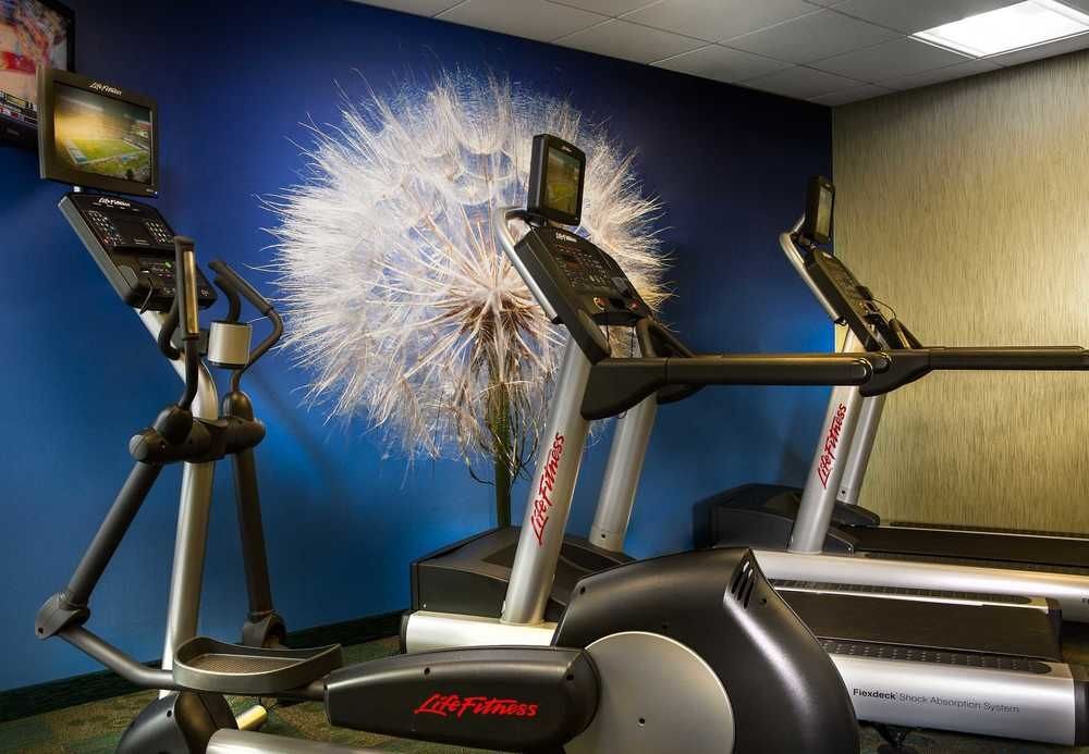 SPRINGHILL SUITES BY MARRIOTT DALLAS DFW AIRPORT N/GRAPEVINE photo 3
