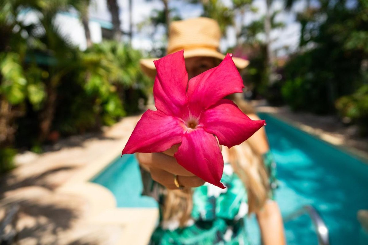 PARADERA PARK ARUBA
