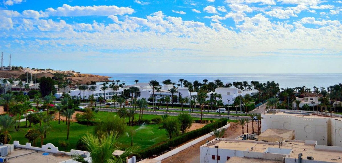 JAZ NEO NAAMA BAY photo 3