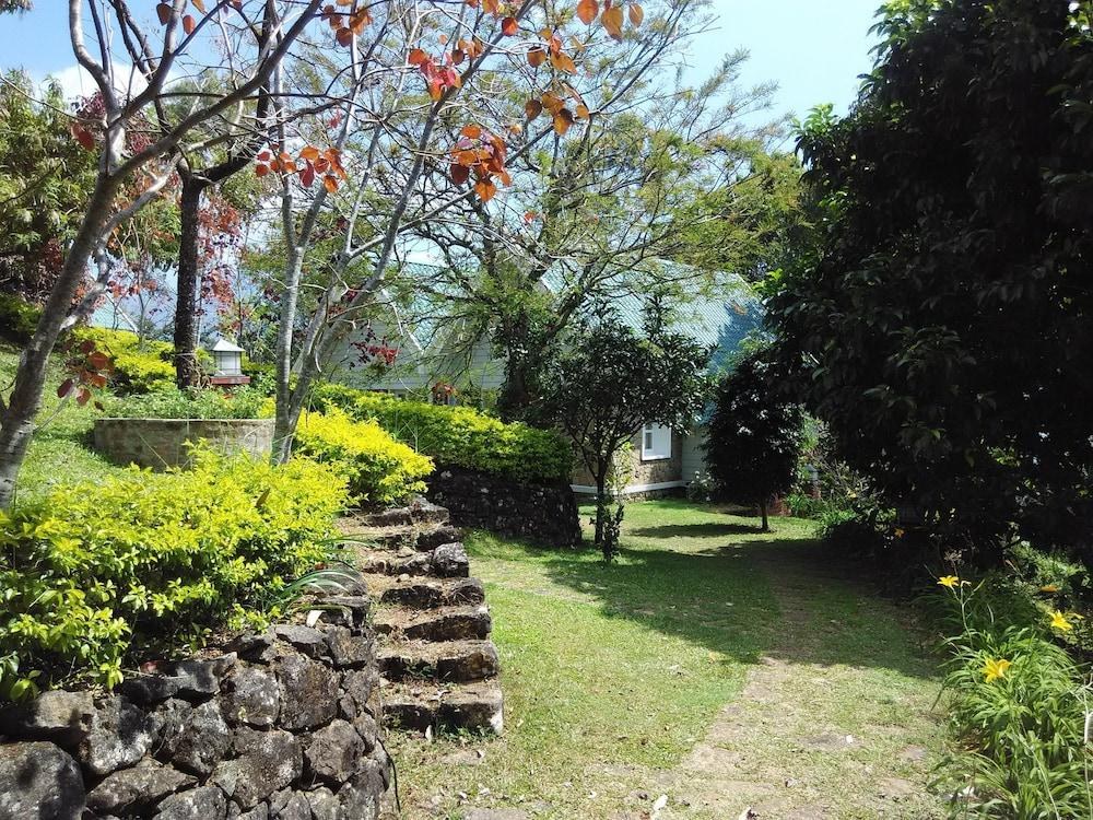 AMBADDY ESTATE photo 4