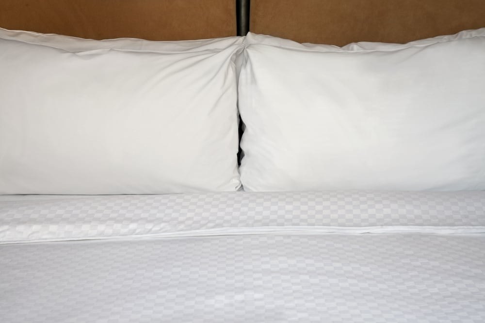 FOUR POINTS BY SHERATON RALEIGH NORTH photo 3