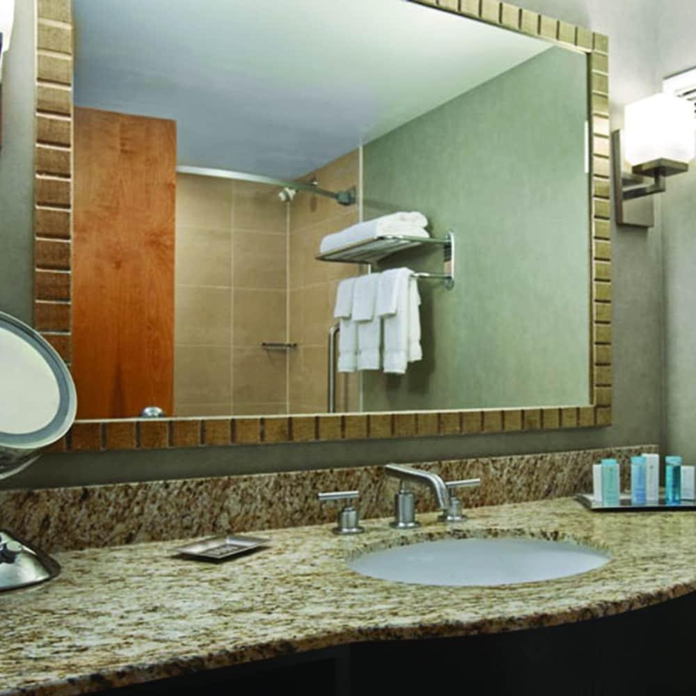 Delta Hotels By Marriott Toledo photo 3