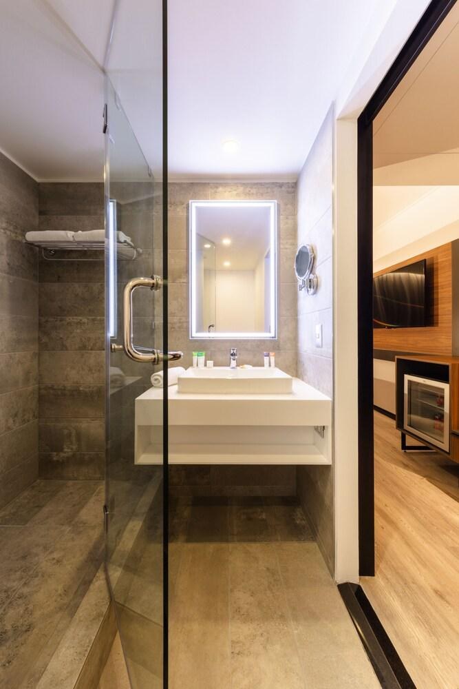 Novotel Santiago Providencia photo 3