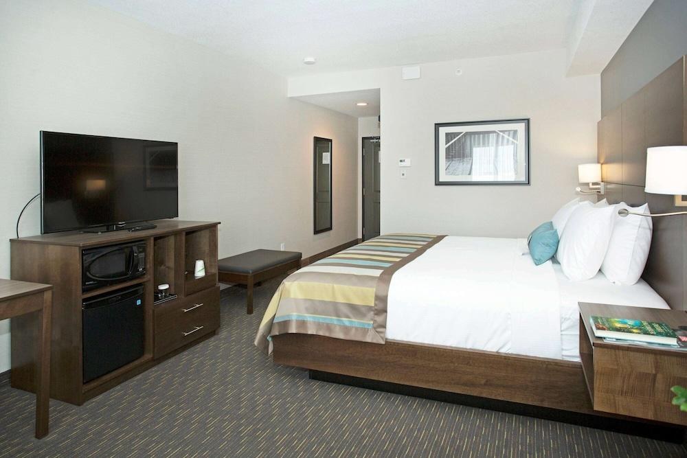 Wingate by Wyndham Calgary Airport photo 2