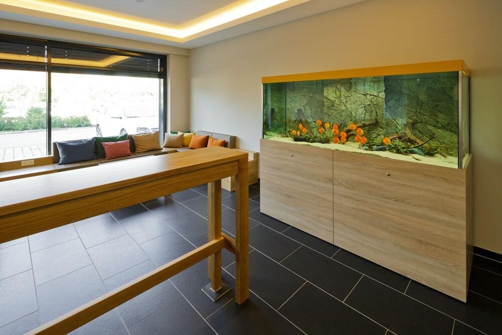 B&B Hotel München-Olympiapark photo 4