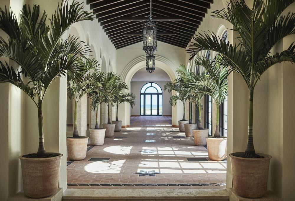 Four Seasons Hotel at The Surf Club photo 2
