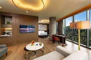 Radisson Collection Hotel Vadistanbul photo 2
