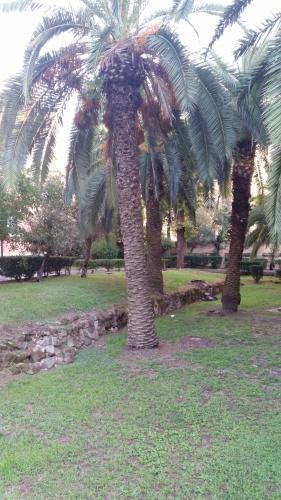 Vecchia Roma Resort