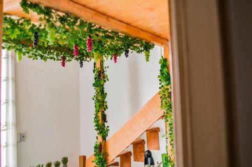 B&B Tecla photo 2