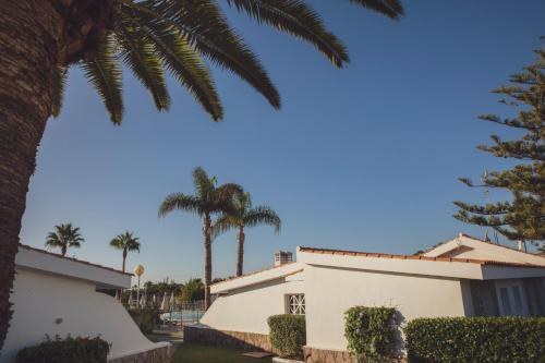 VISTA VERDE BEACH MATE photo 3