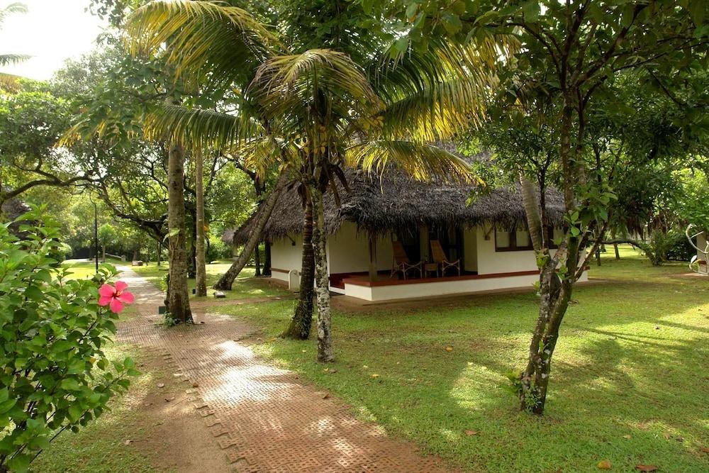 Marari Beach photo 1