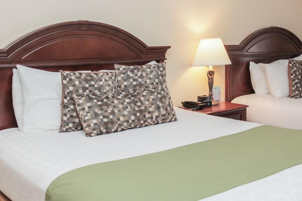 The Conwell Inn photo 1