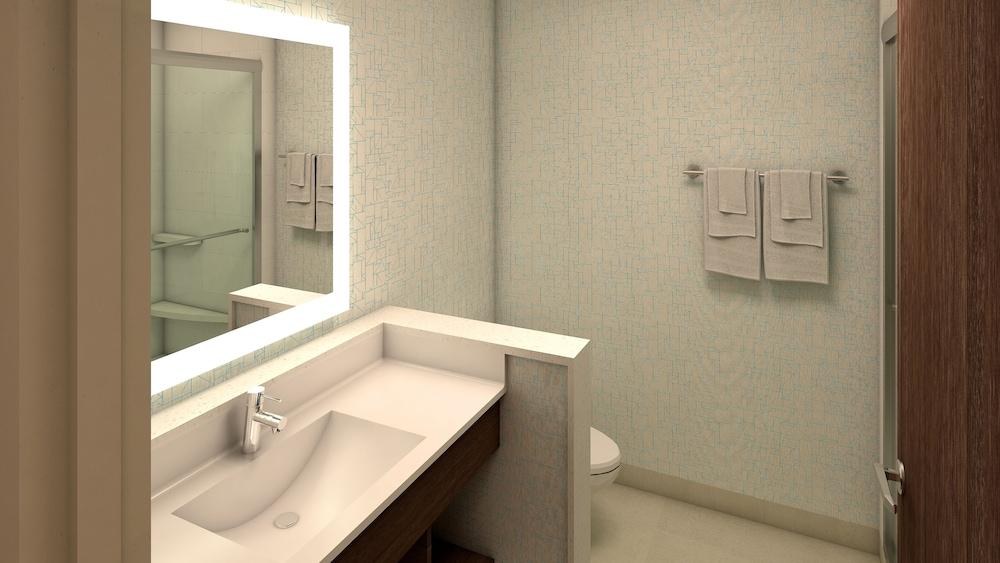 Holiday Inn Express & Suites Houston S - Medical Ctr Area, an IHG Hotel photo 2