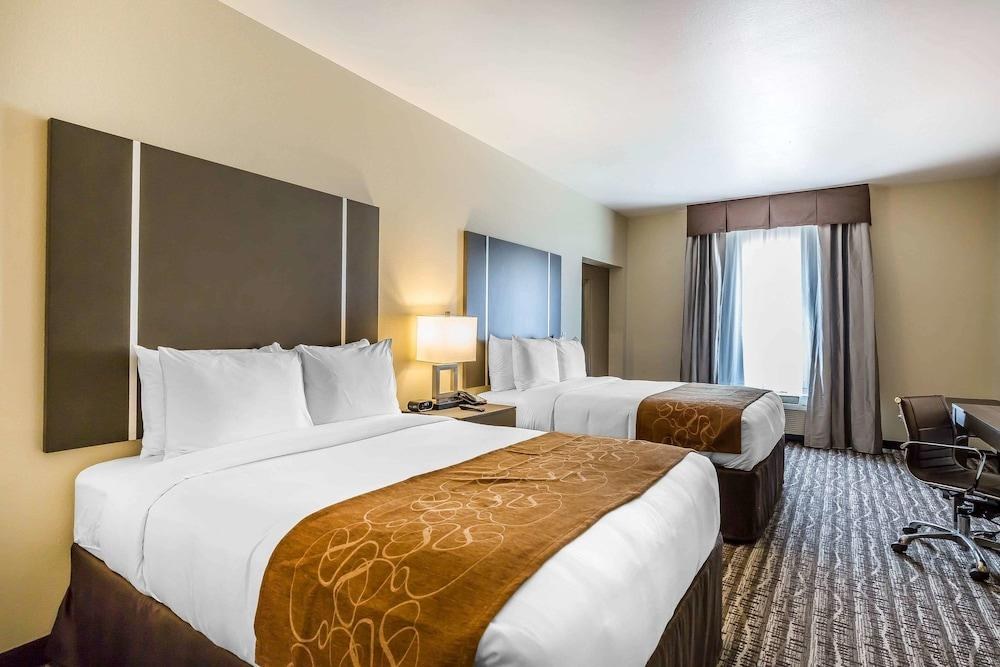 Comfort Suites Near Sam Houston Race Park photo 1