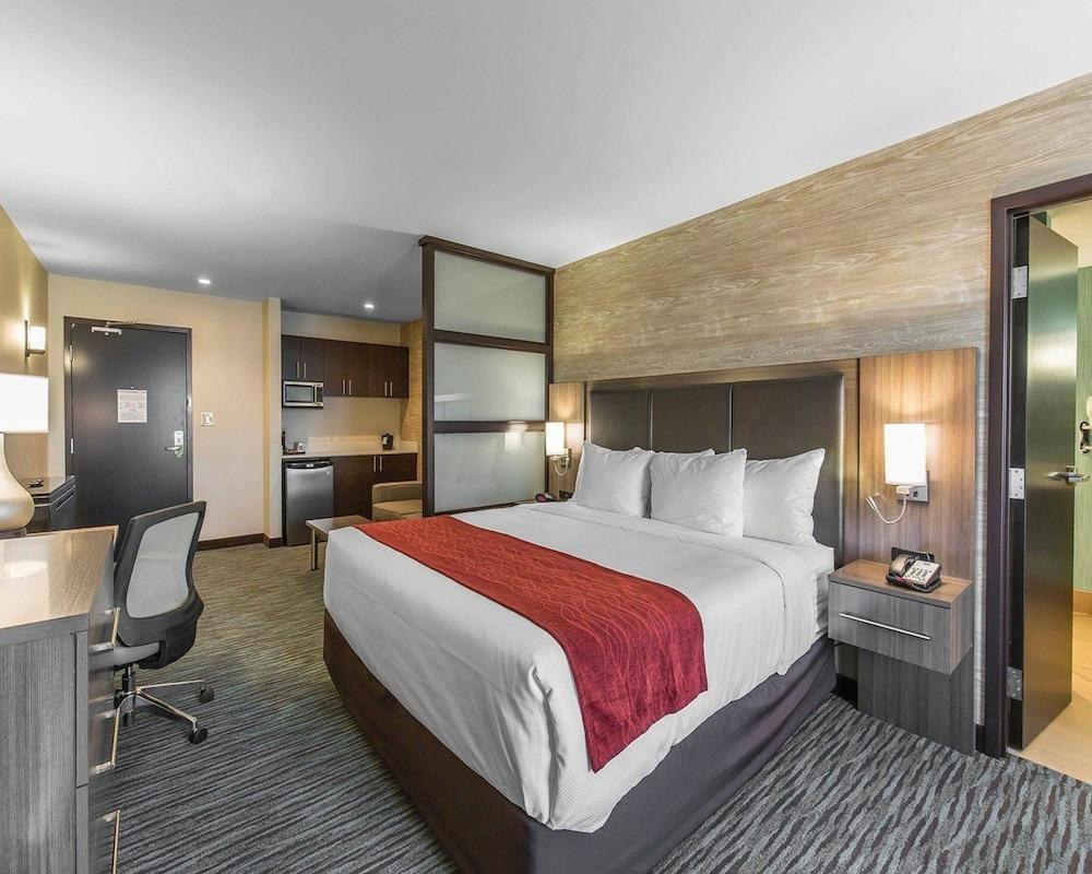 Comfort Inn & Suites Airport North photo 2