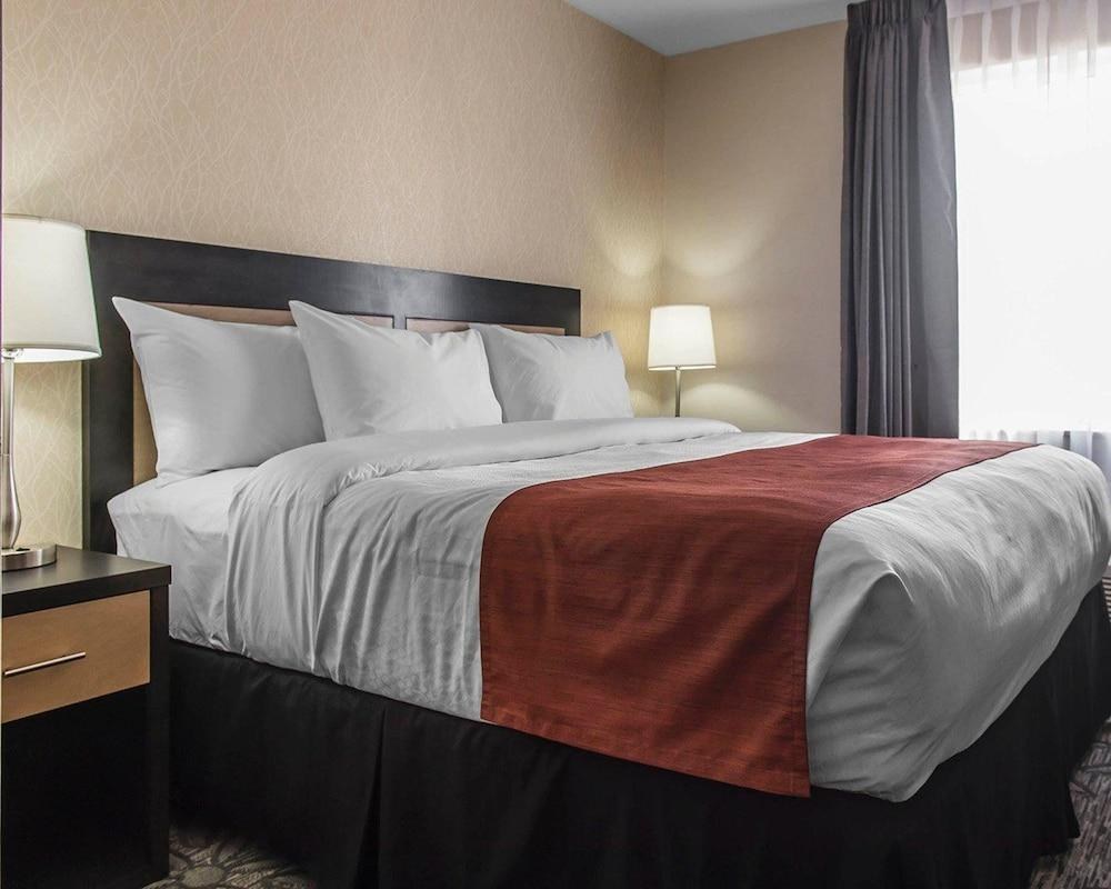 Quality Inn & Suites Kingston photo 1