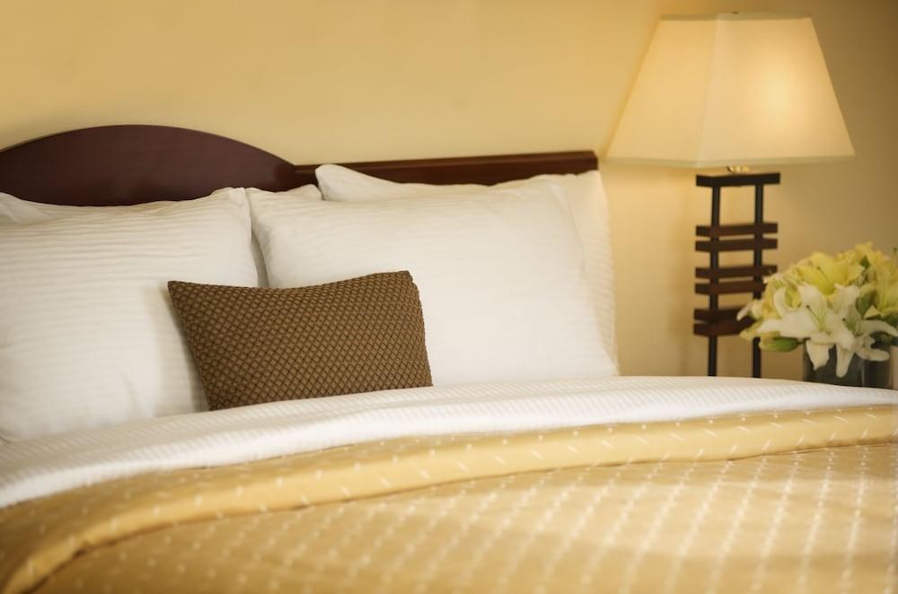 Larkspur Landing Campbell - An All-Suite Hotel photo 2