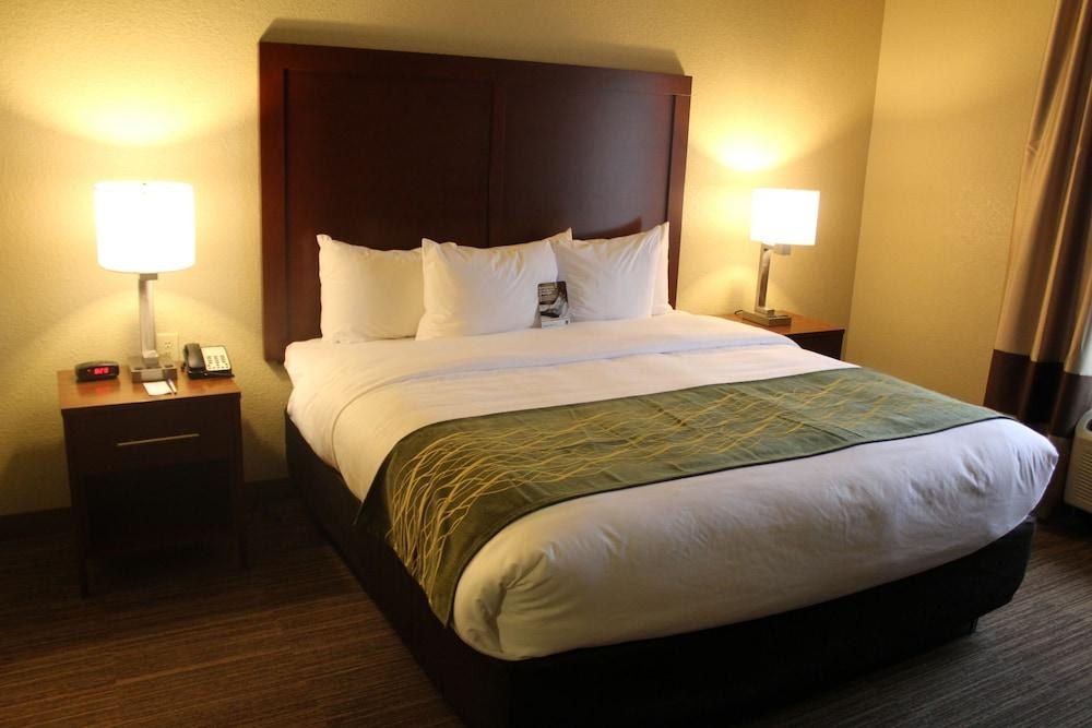 COMFORT INN BENTONVILLE photo 1