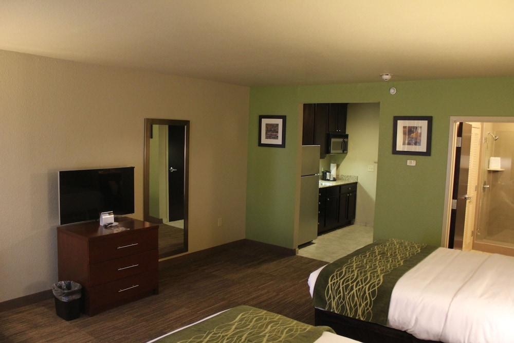 COMFORT INN BENTONVILLE photo 2