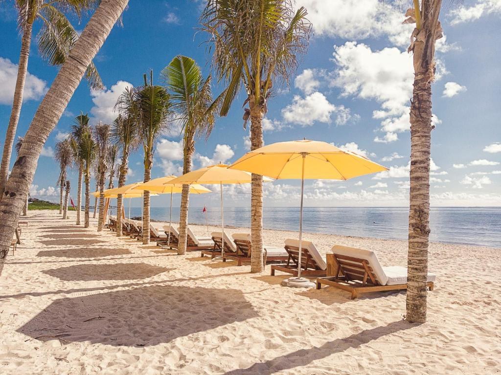 THE FIVES OCEANFRONT - PUERTO MORELOS photo 4
