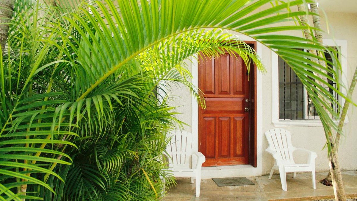 KINTA KAN COZUMEL photo 2